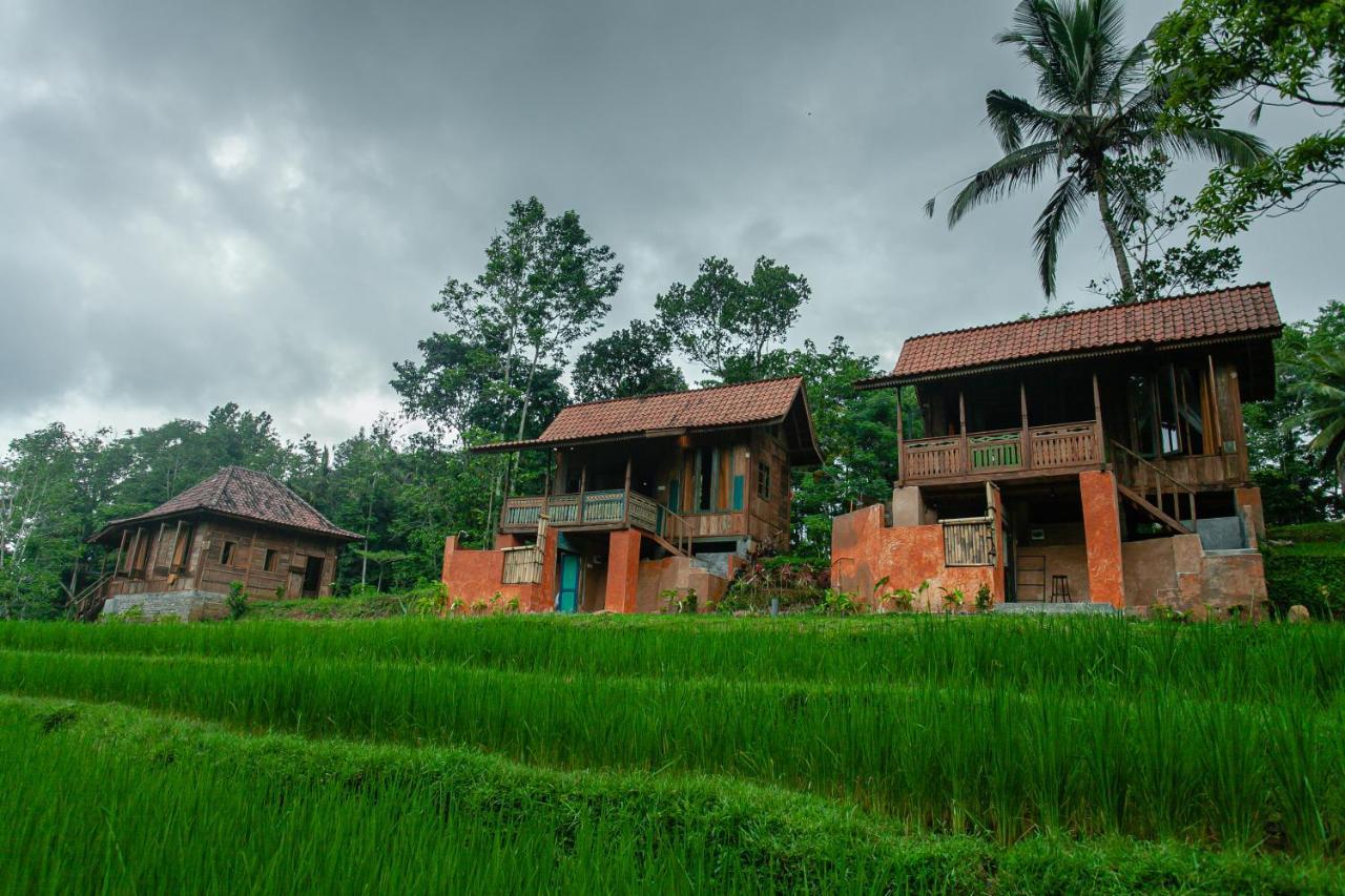 Tepi Sawah Lodge & Retreat 자띠루위 외부 사진