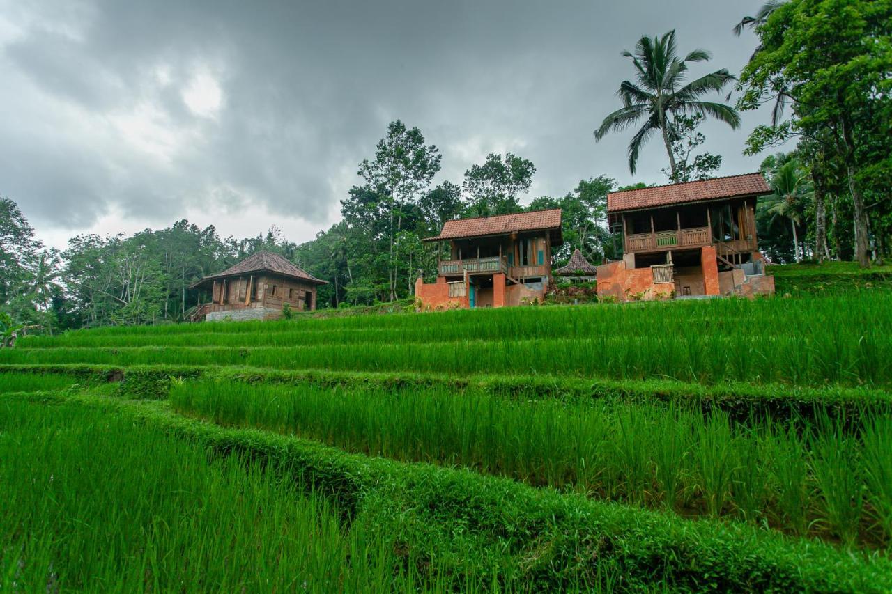 Tepi Sawah Lodge & Retreat 자띠루위 외부 사진